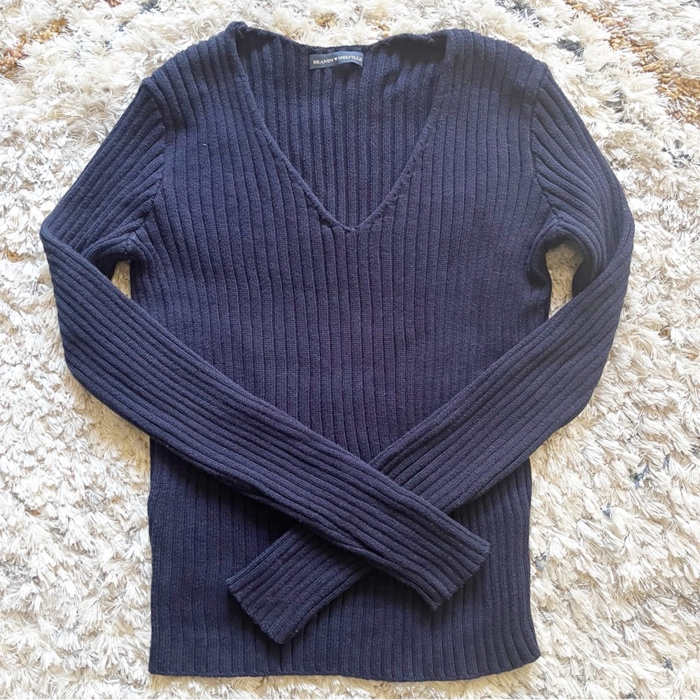 Brandy Melville Blue V-Neck Sweater